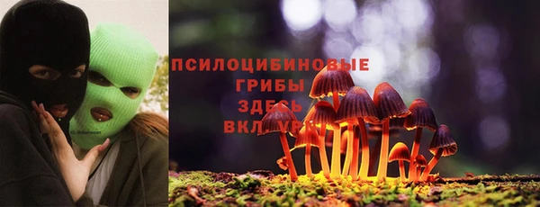 мдпв Верхний Тагил