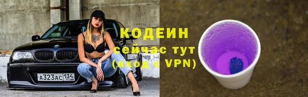 мдпв Верхний Тагил