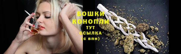 прущий лед Верея