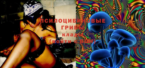 мдпв Верхний Тагил