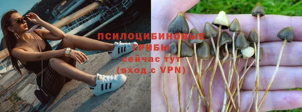 прущий лед Верея