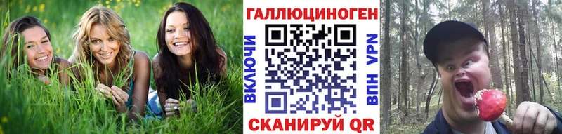 Купить  Верхняя Тура  Псилоцибиновые грибы мицелий 